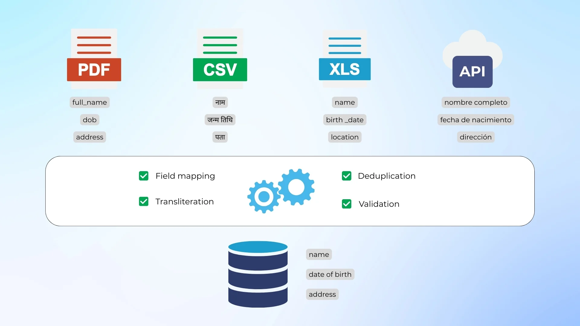 Data transformation for multi-vendor systems Managing data from multiple vendors for IDV platforms