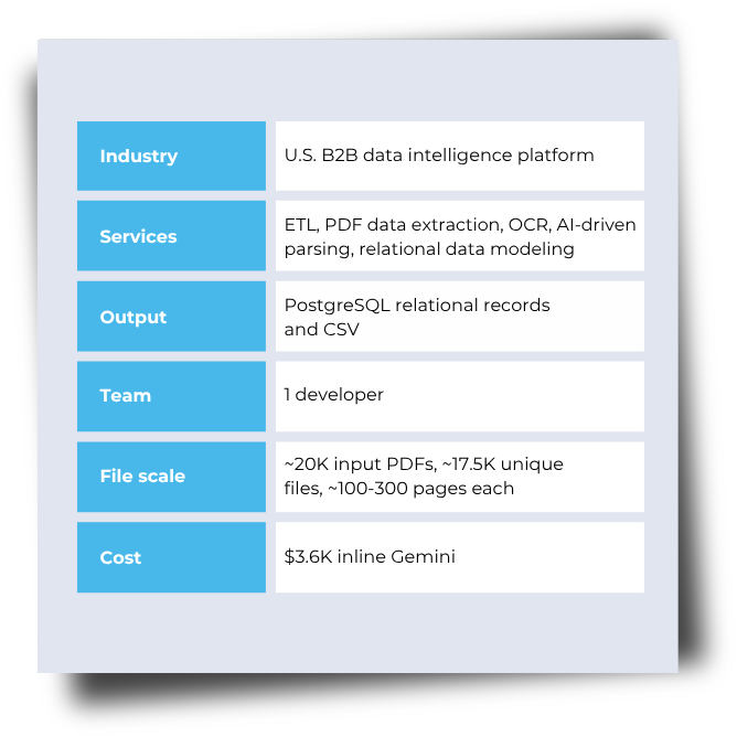Entity data extraction project facts: industry, services, output, team, file scale, and Gemini cost